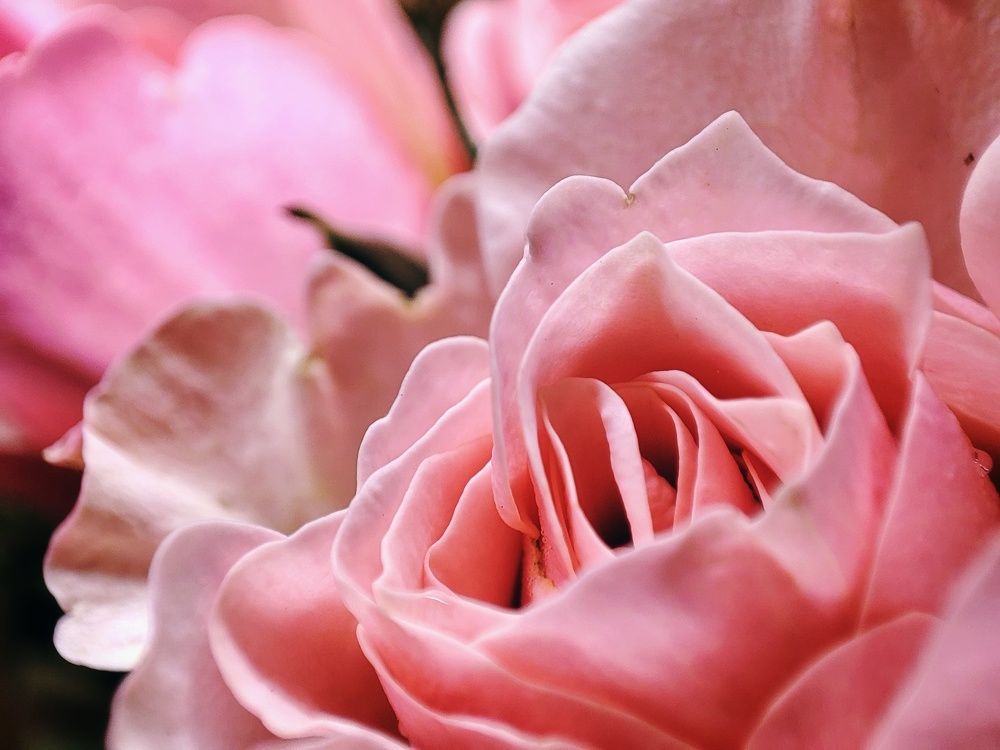 Photograph by Meilany Wijaya