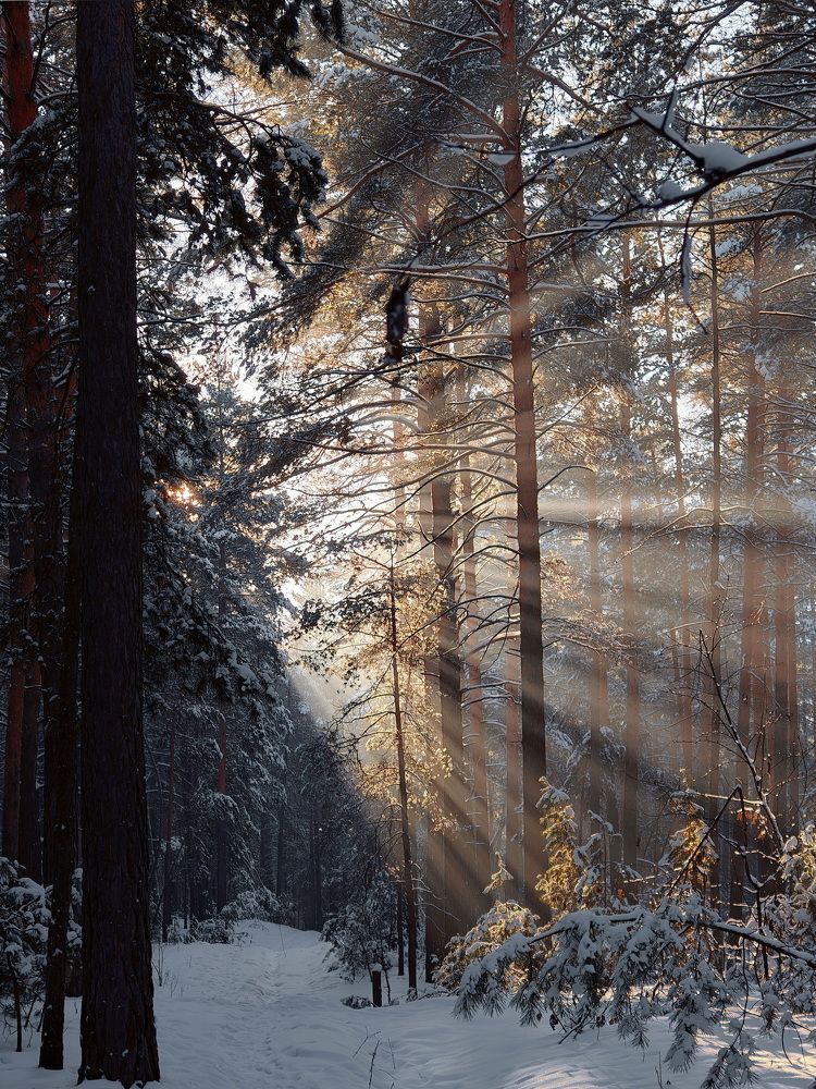 Photograph by Кузнецов Дмитрий