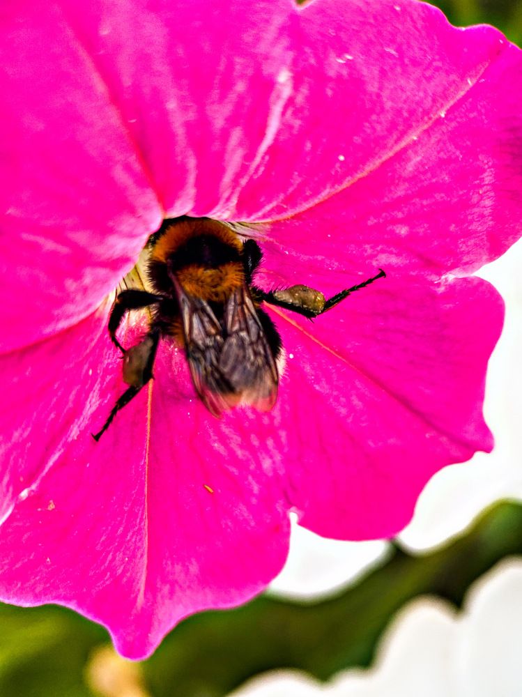 Photograph by Александра Гонтарь