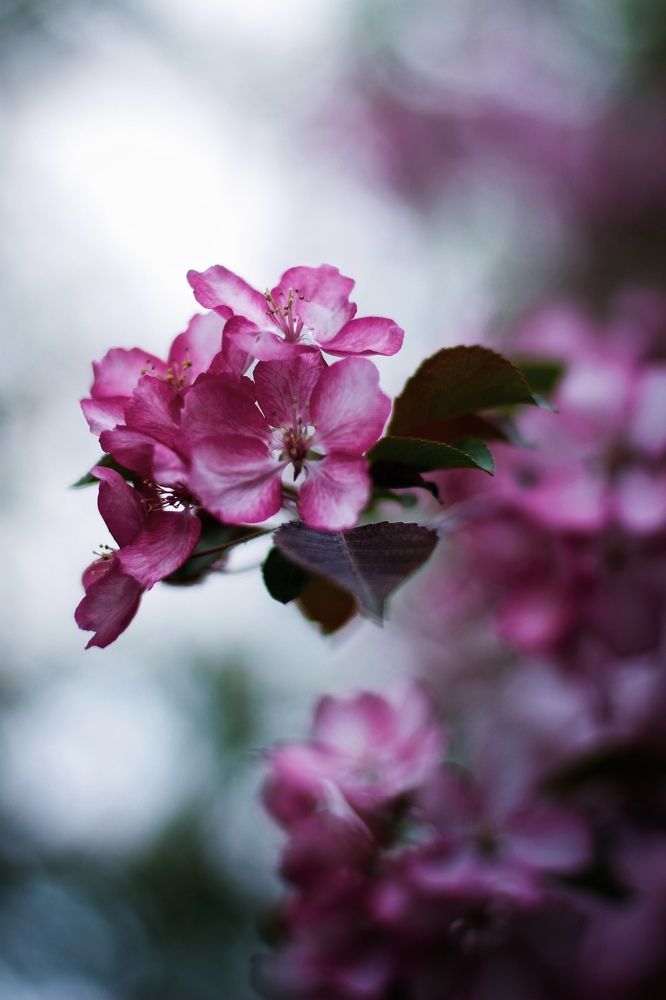 Photograph by Астафьева Анастасия