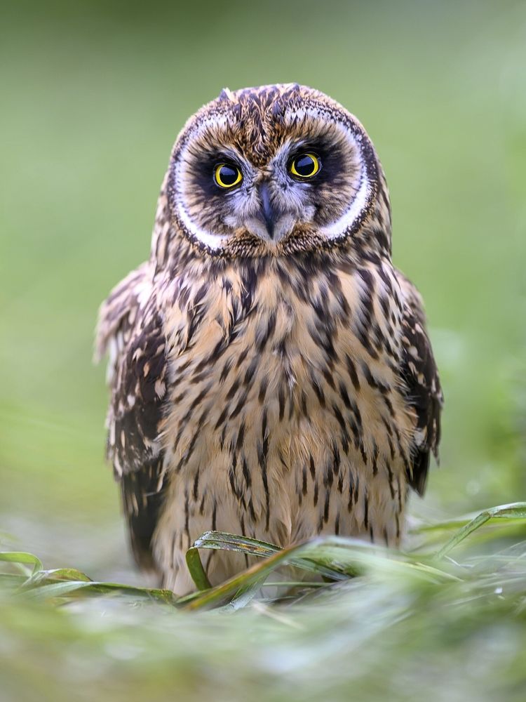 Photograph by Пупонин Сергей