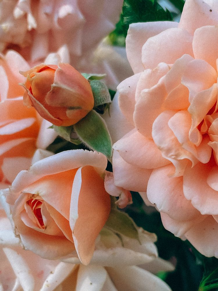 Photograph by Ляйсан Саляхиева