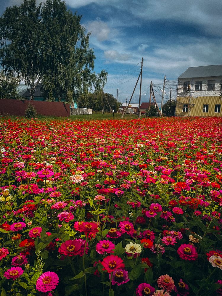 Photograph by Ляйсан Саляхиева