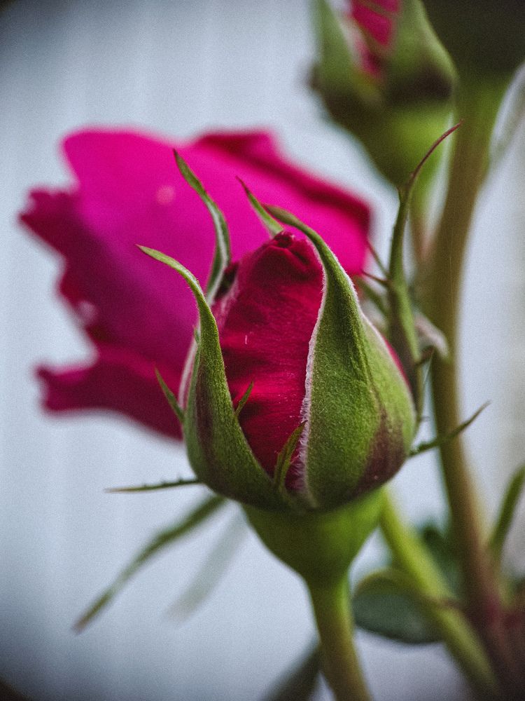 Photograph by Ляйсан Саляхиева
