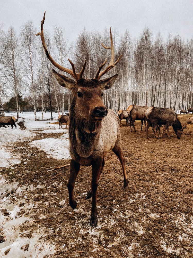 Photograph by Ляйсан Саляхиева