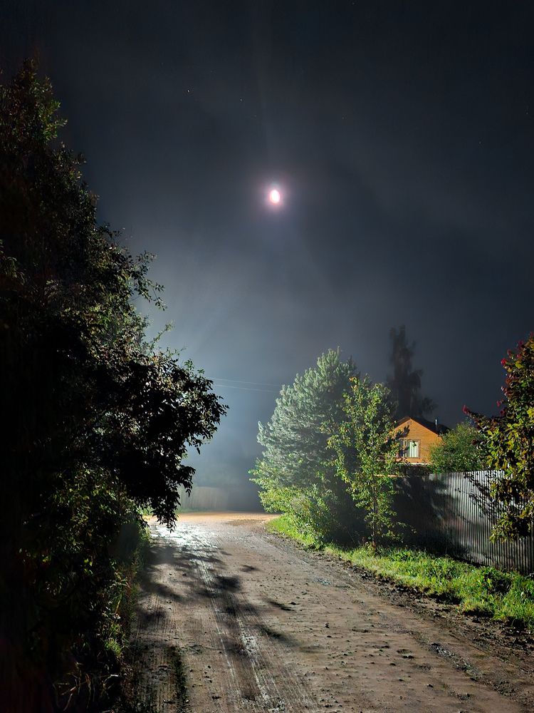 Photograph by Герман Корнеев