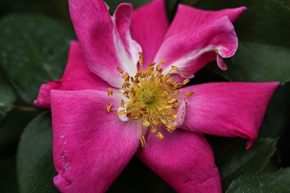 Photograph by Елена Одынец