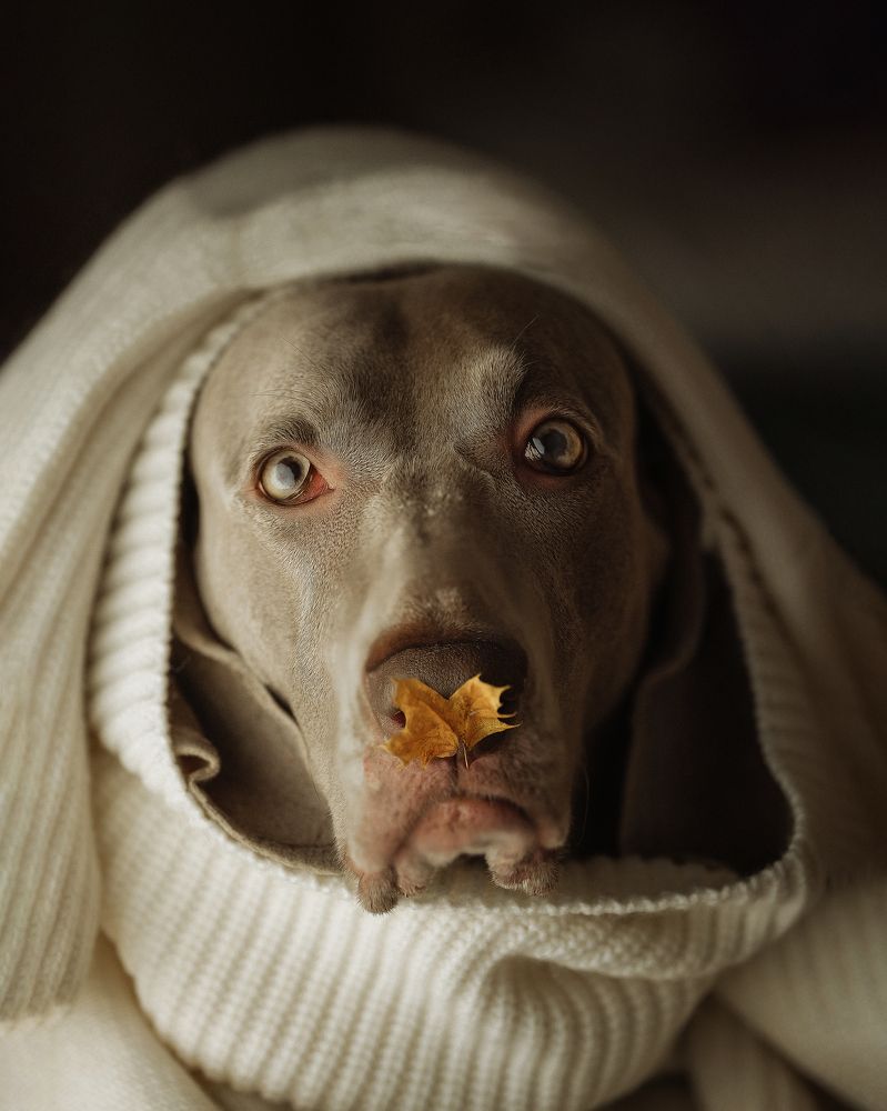 Photograph by Наталия Ватутина