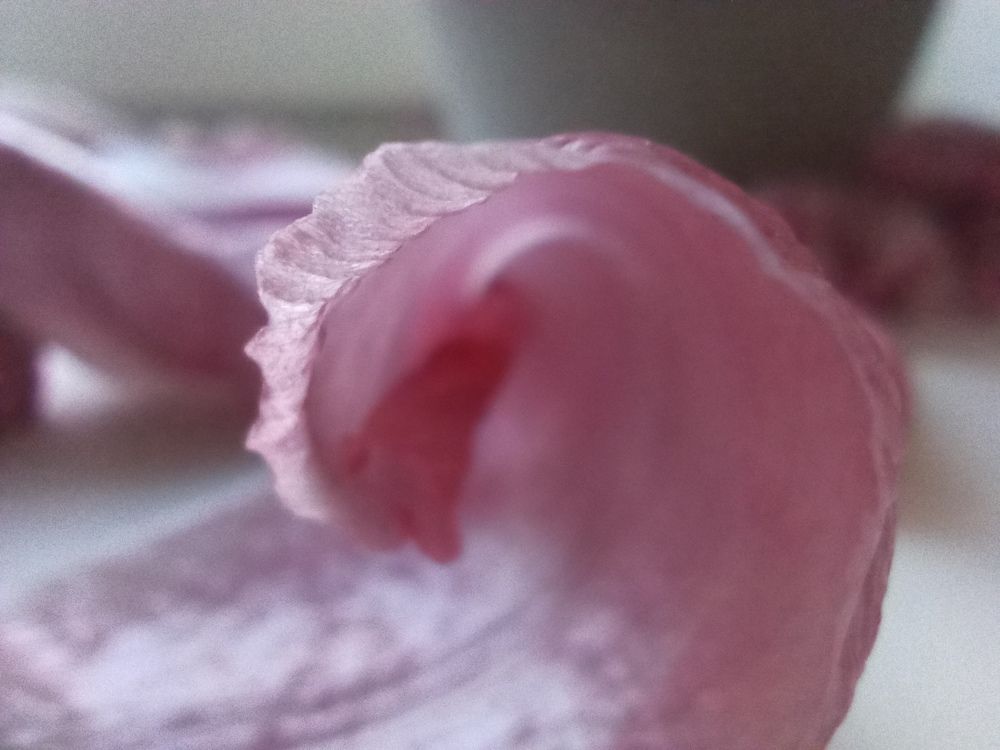 Photograph by Sasha Zavarova