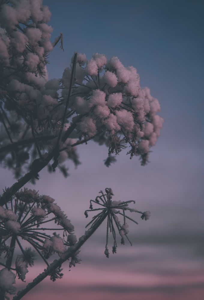 Photograph by Жанна Ляхова