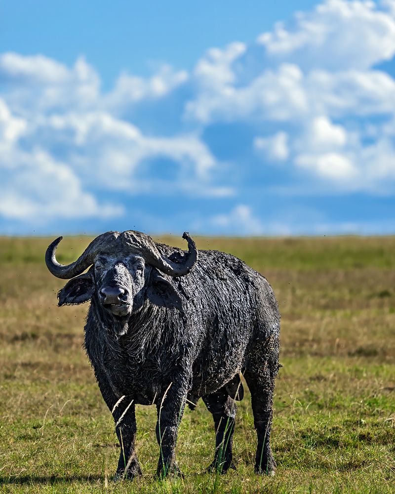 Photograph by Aatish Shroff