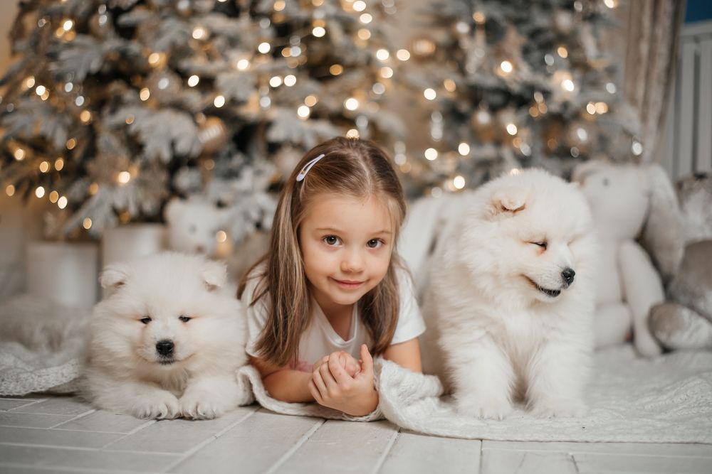 Photograph by Татьяна Лалыкина