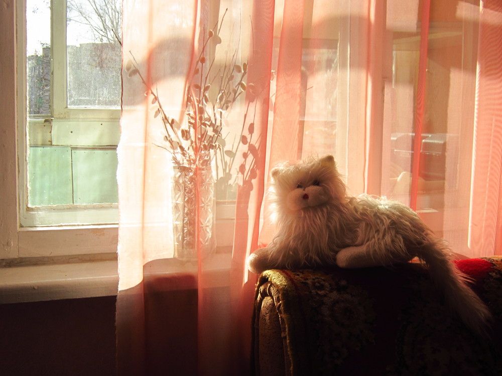 Фотография автора Всеволод