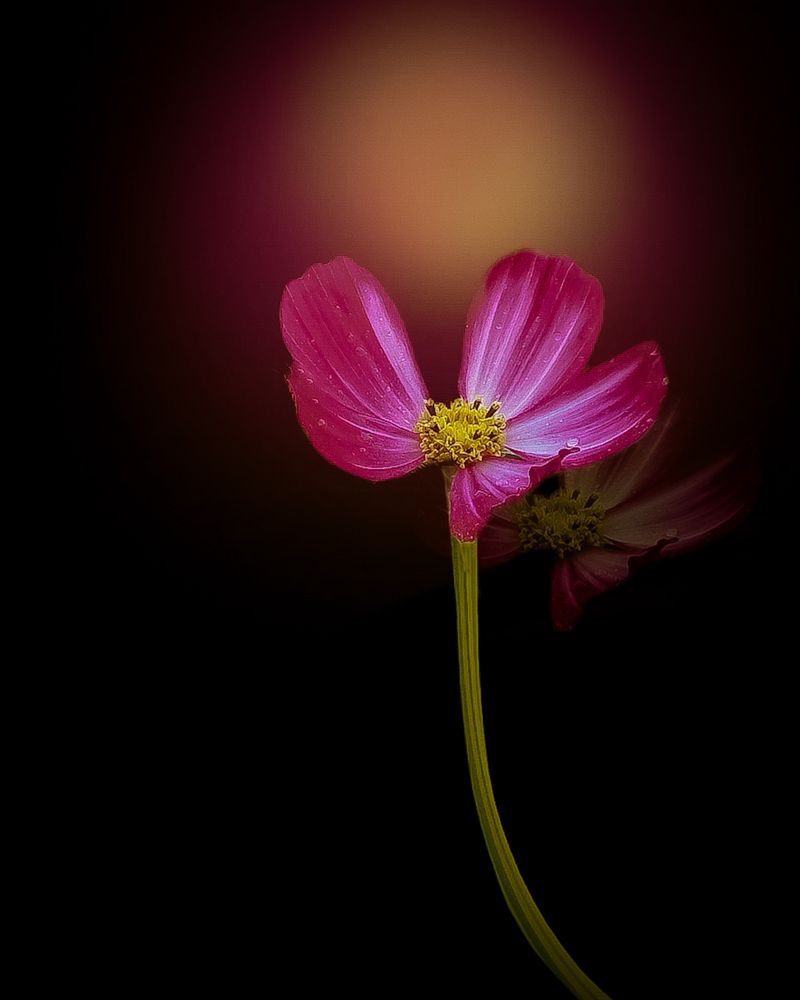 Photograph by Люда Яковлева