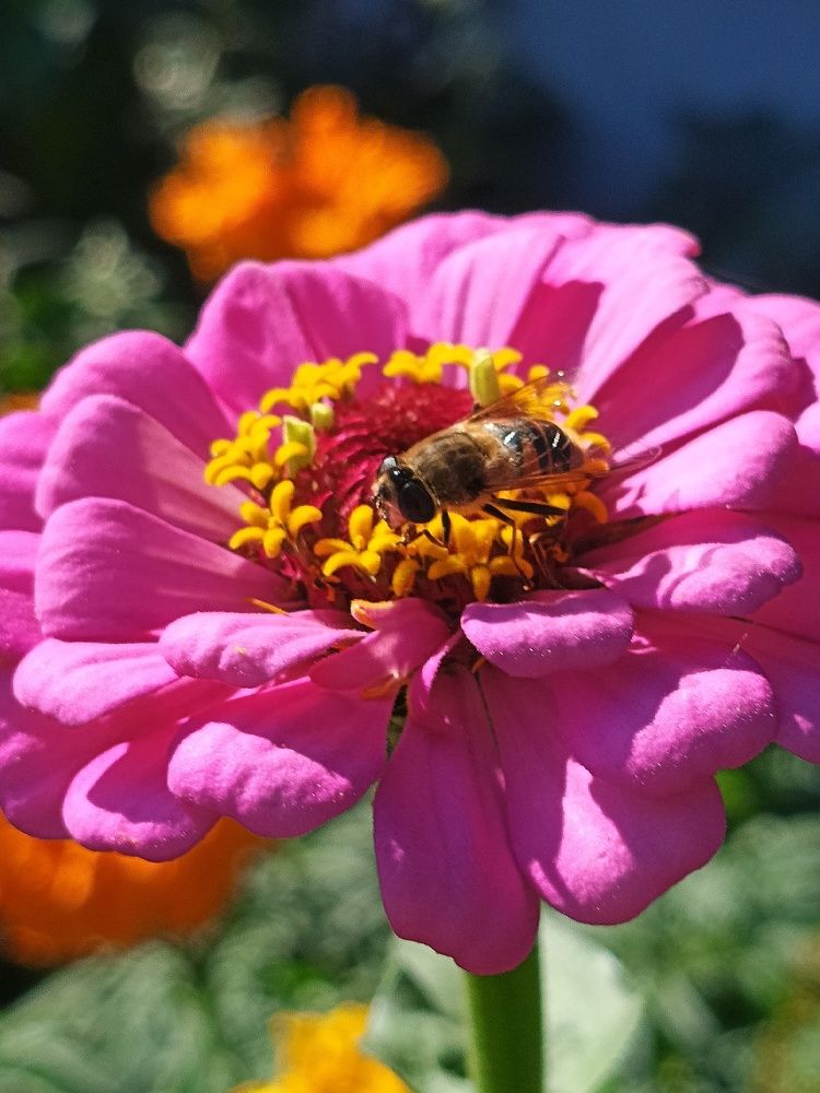 Photograph by Yroslava Veretina