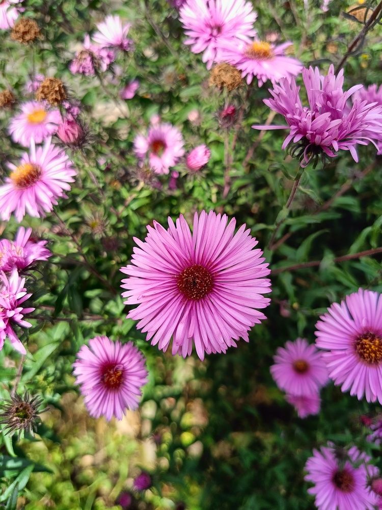 Photograph by Yroslava Veretina