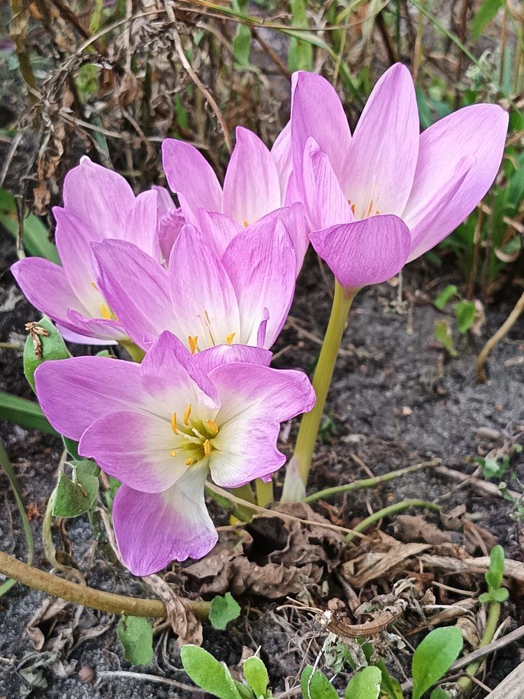 Photograph by Yroslava Veretina