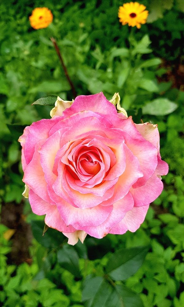 Photograph by Максим Иванов