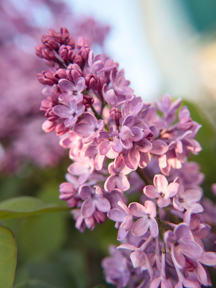 Photograph by Ekaterina Slepneva