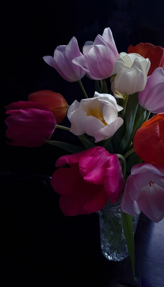 Photograph by Инна Майорова