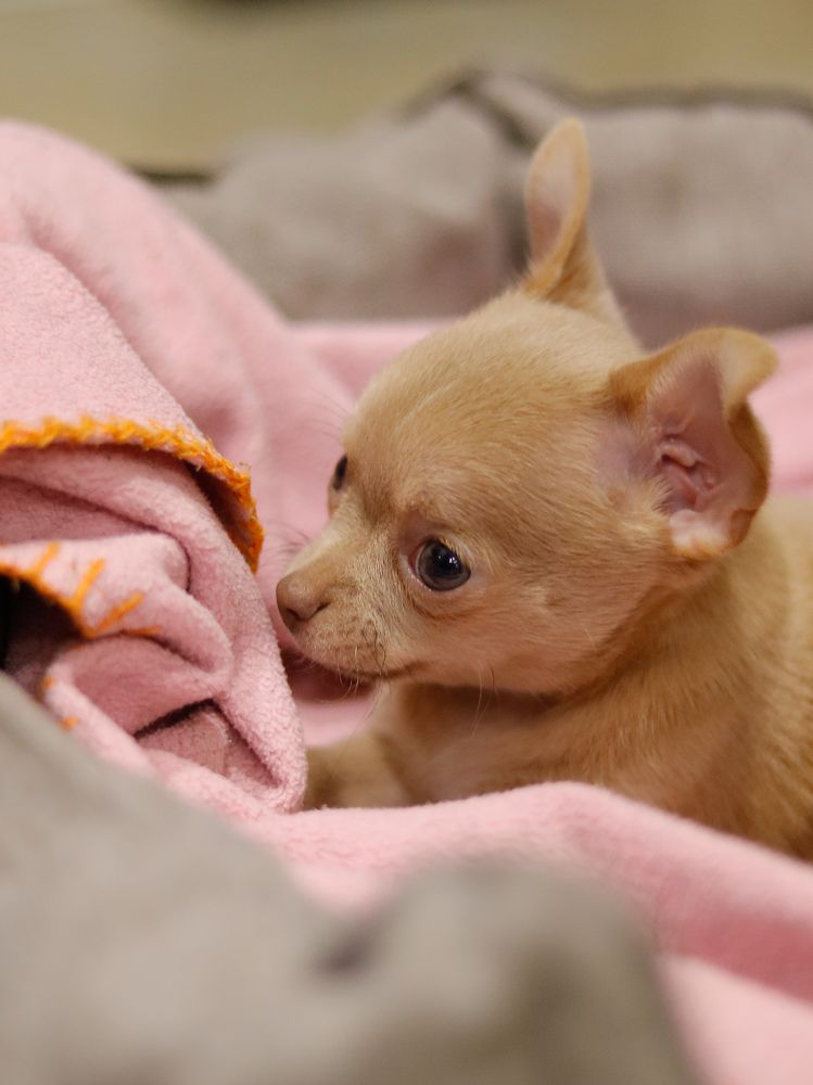 Photograph by Ekaterina Slepneva