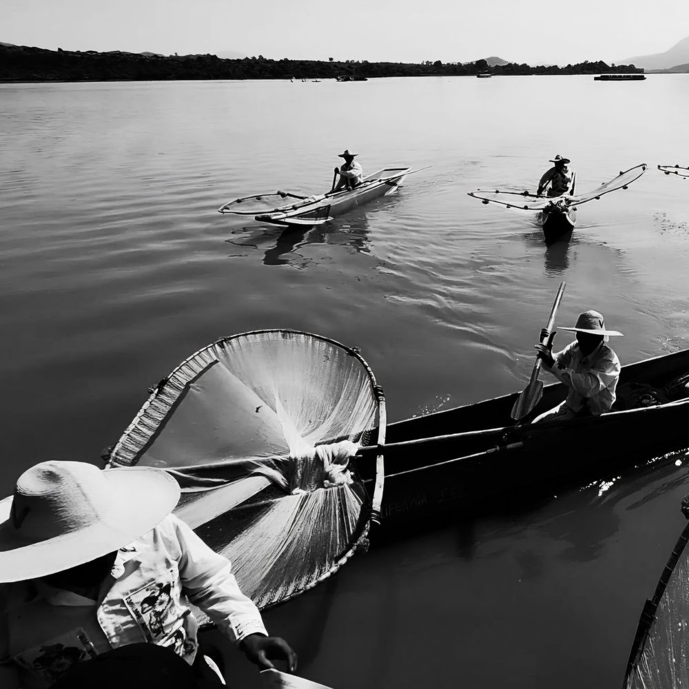 Фотография автора Diego Cesar Monroy Chaparro