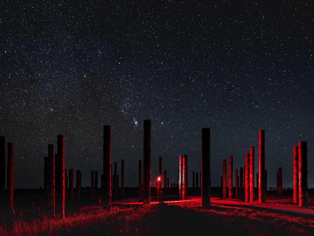 Photograph by Никита Борзов