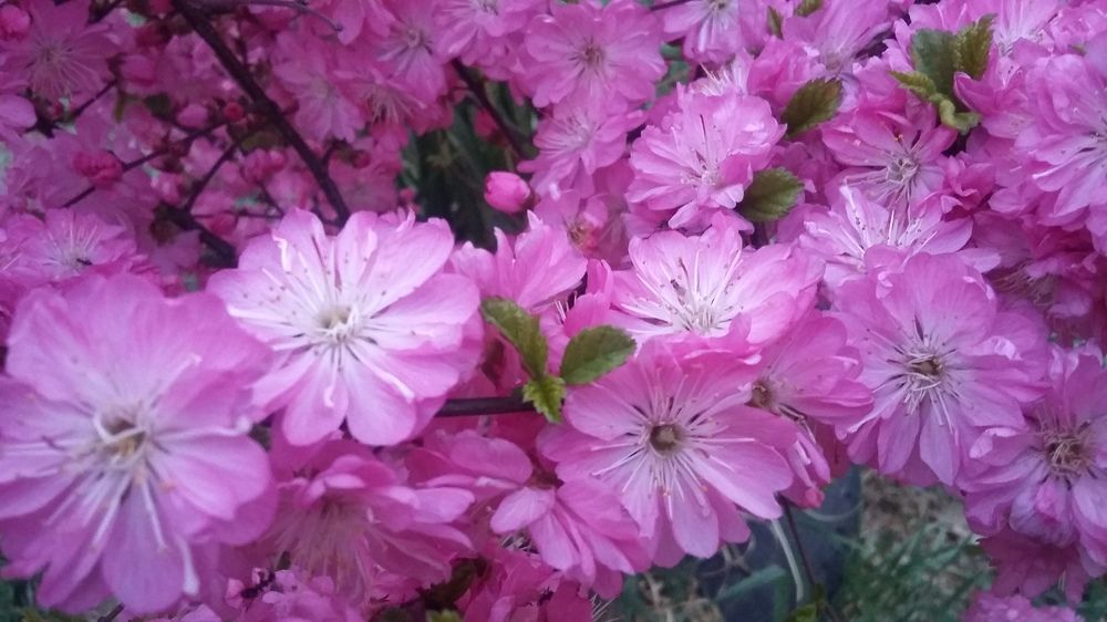 Photograph by Юлиана Иванова