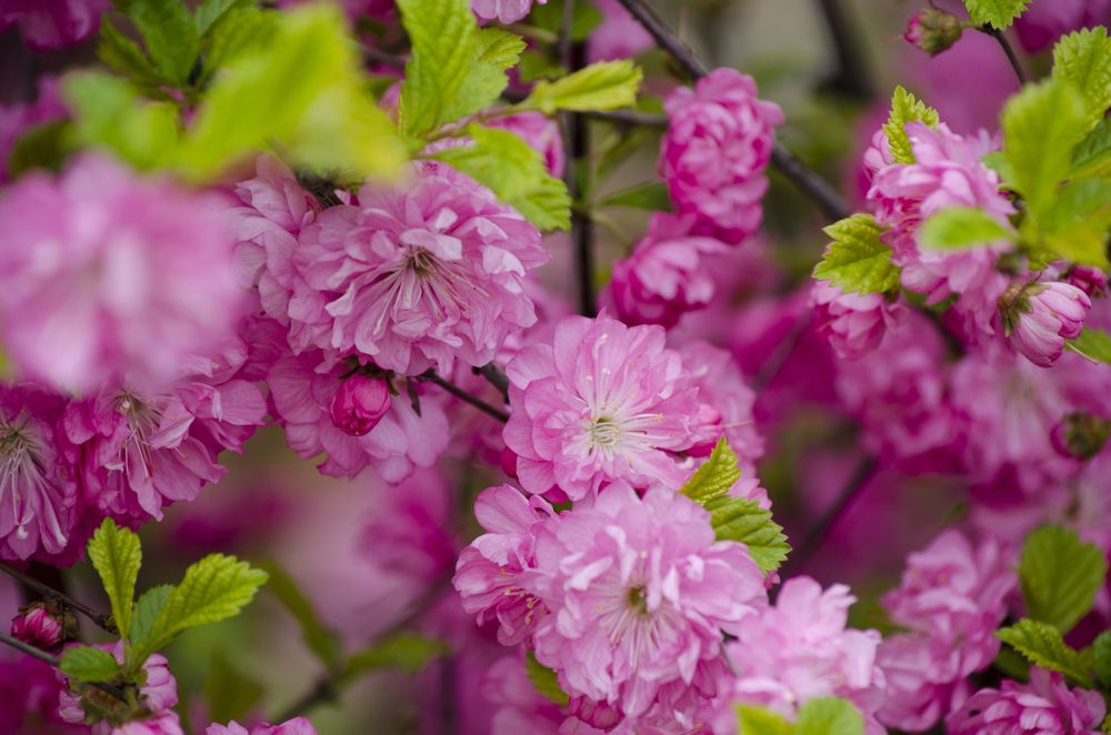 Photograph by Юлиана Иванова