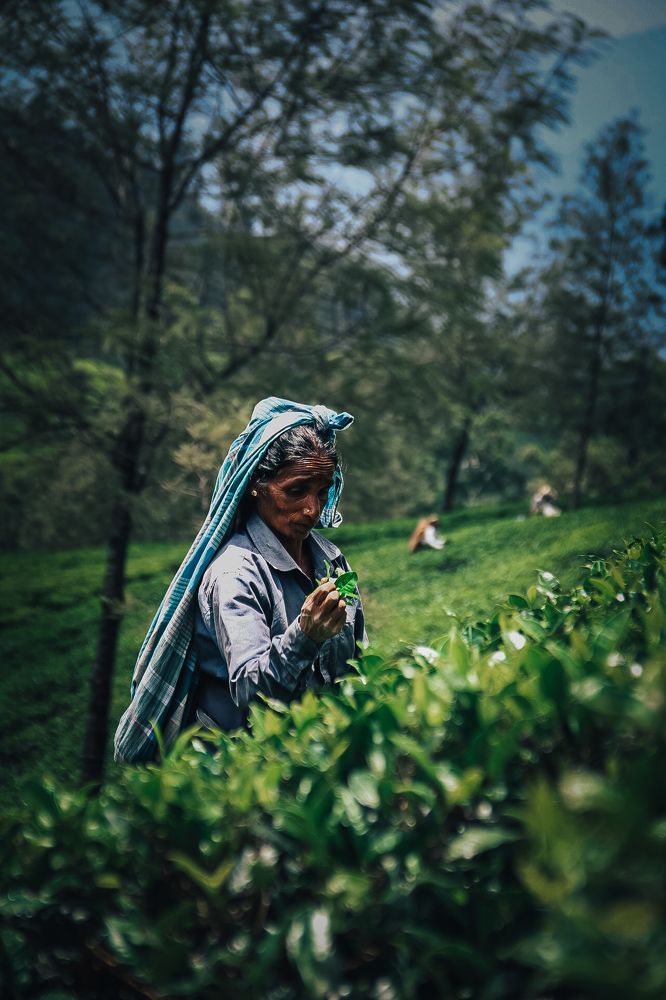 Photograph by Aminda Diyunuge