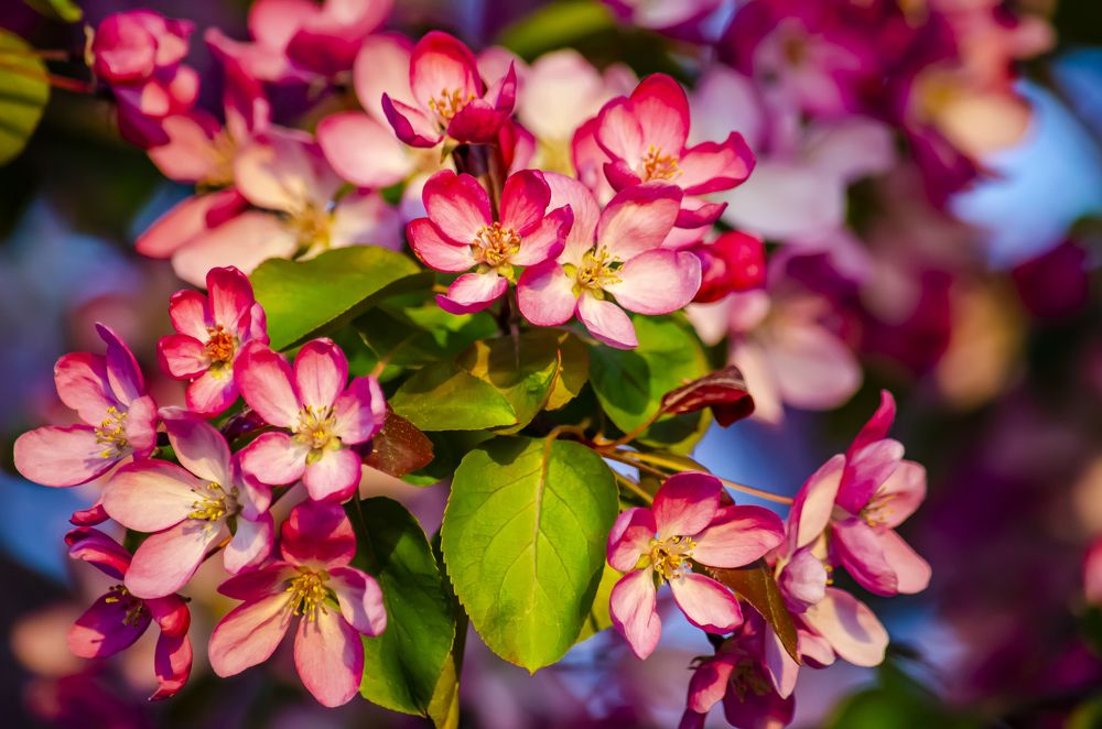 Photograph by Юлиана Иванова