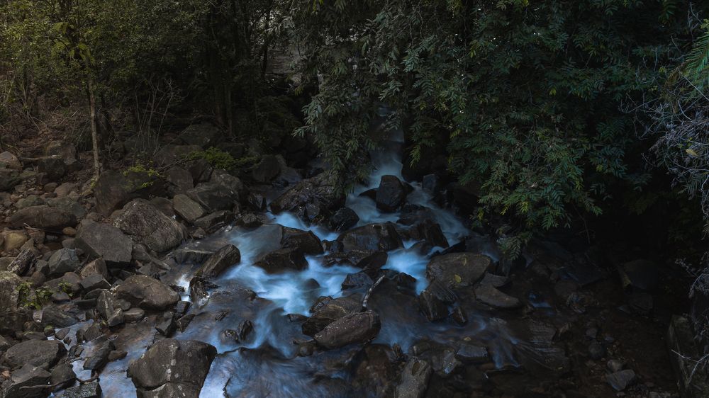 Фотография автора Aminda Diyunuge