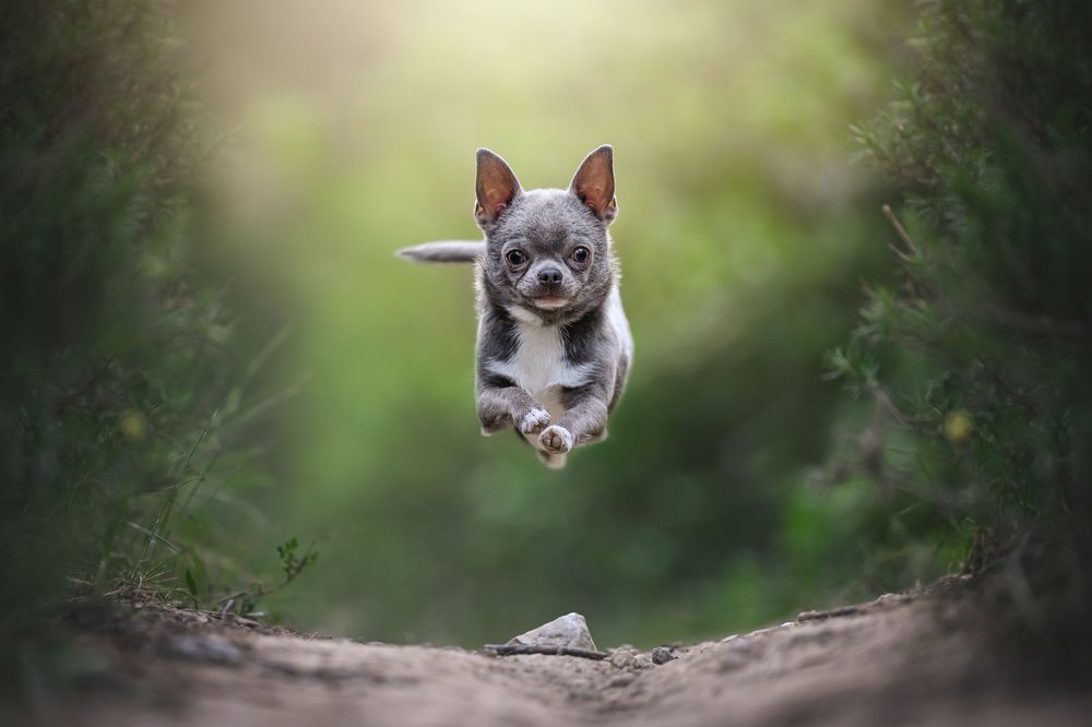 Photograph by Rut Casanellas