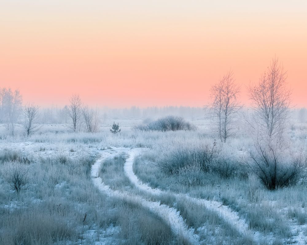 Photograph by Игорь Васильев