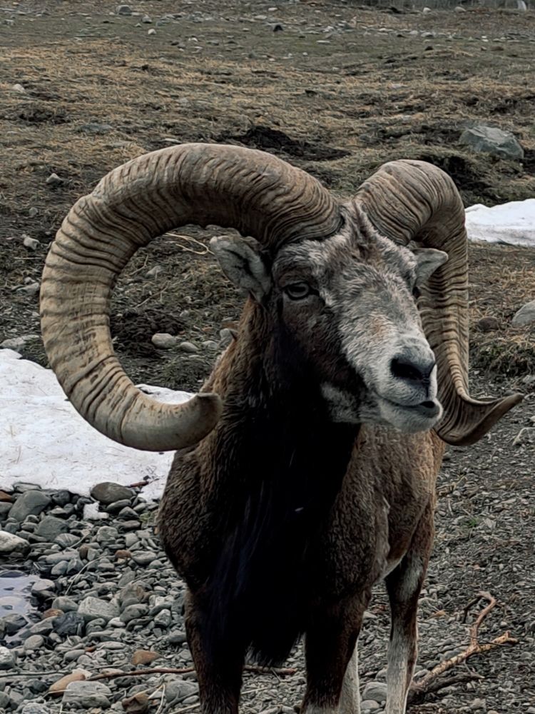 Photograph by Светлана Холодова