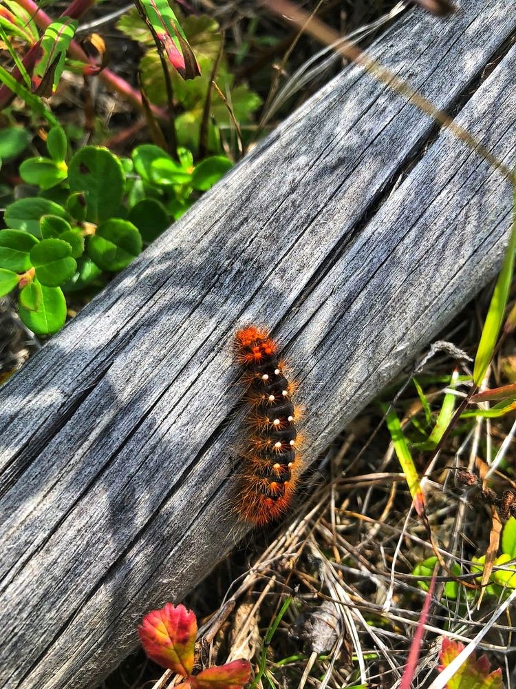 Photograph by Анна Дудко