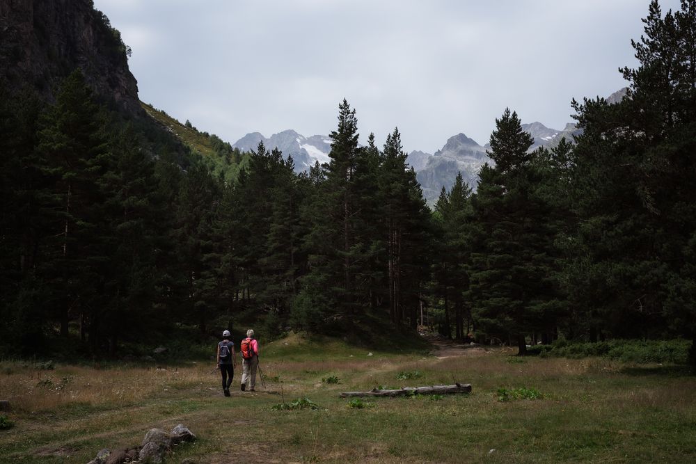 Photograph by Алина Цымбал