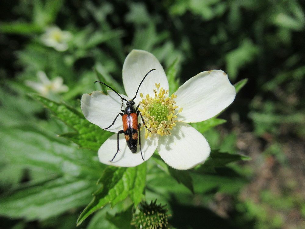 Photograph by Владимир