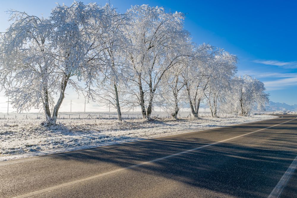 Photograph by Александр