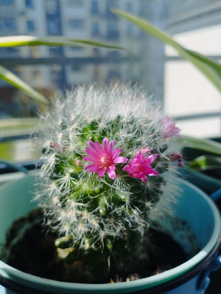 Photograph by Ольга Антохина