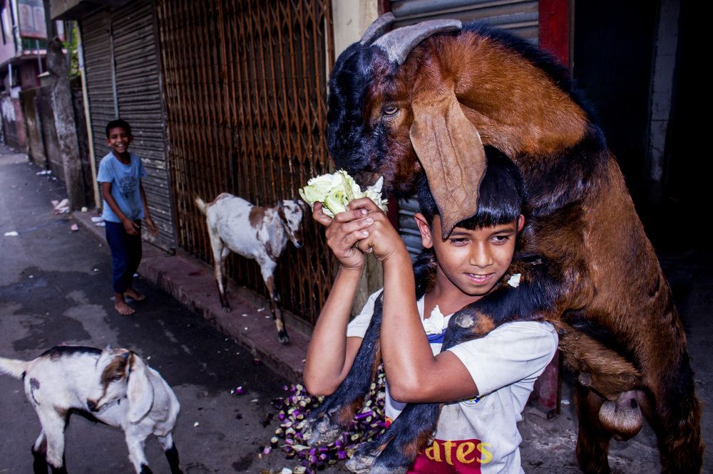 Photograph by Ayman Nakib