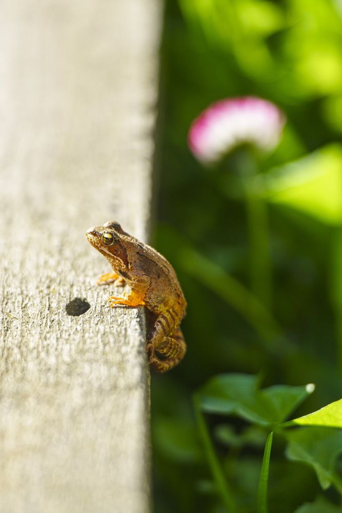 Photograph by Андрей Валерьевич