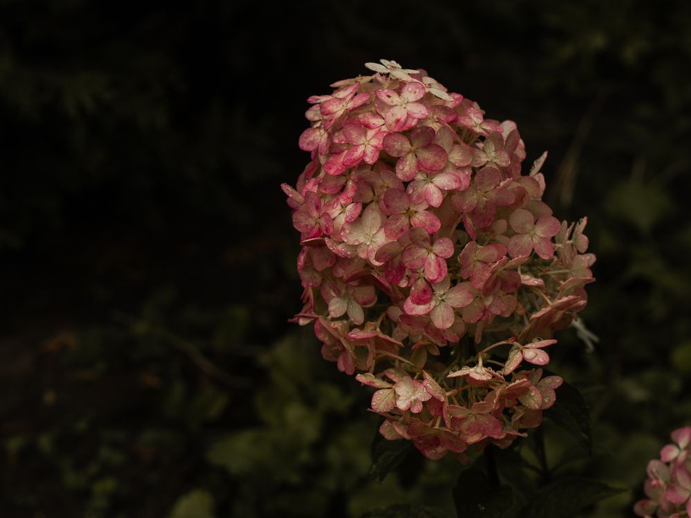 Photograph by Людмила