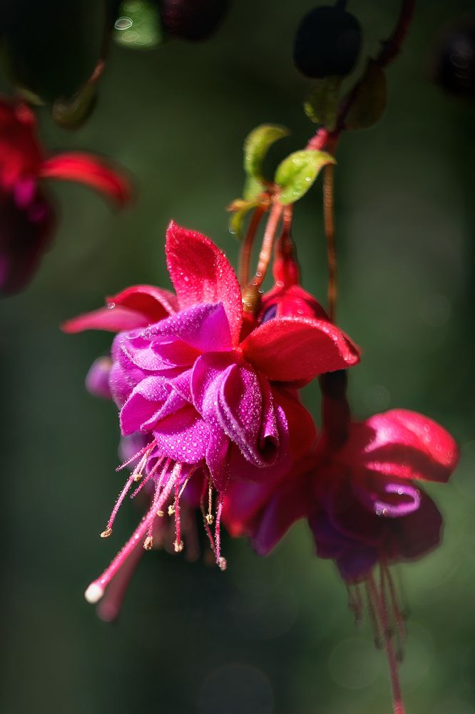 Photograph by Наталья Матюхина