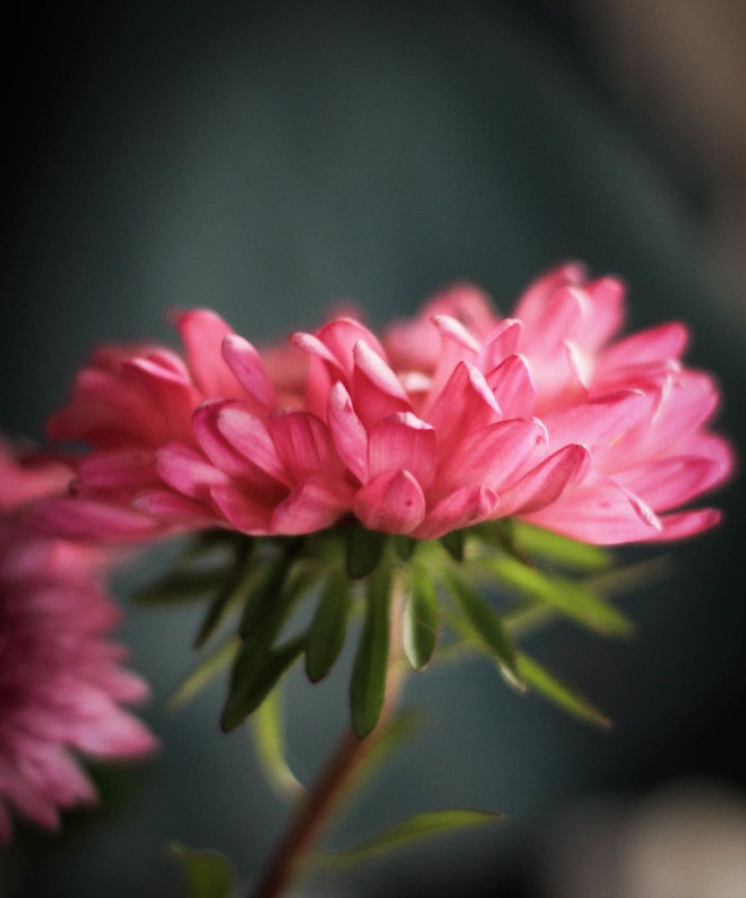 Photograph by Любовь Иванова