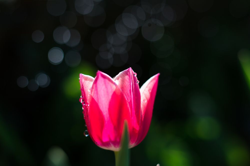 Photograph by Theo Crazzolara