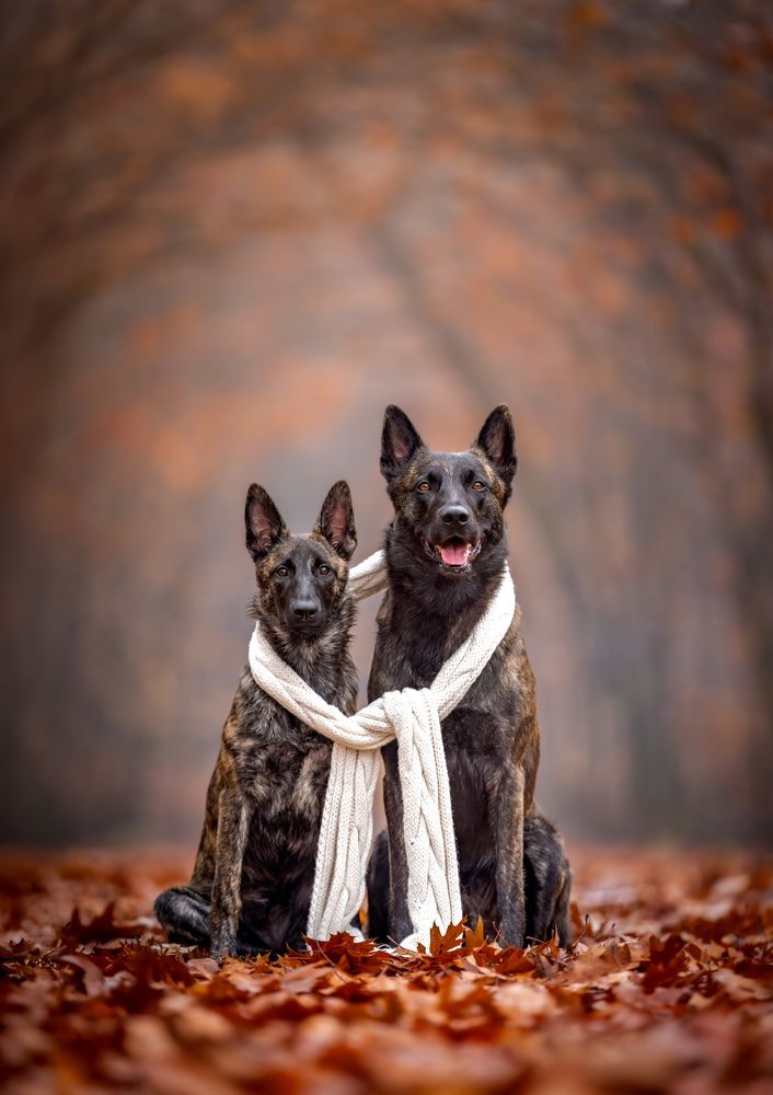 Photograph by Shanna van Mens