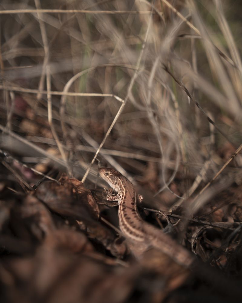 Photograph by Артём Гуцалюк