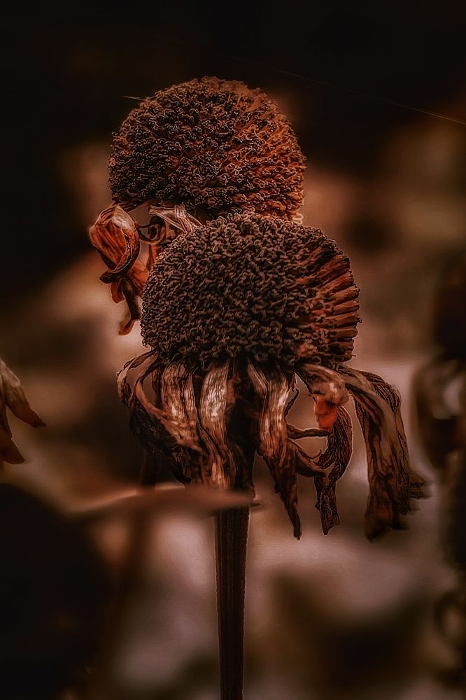 Photograph by Татьяна Бравая