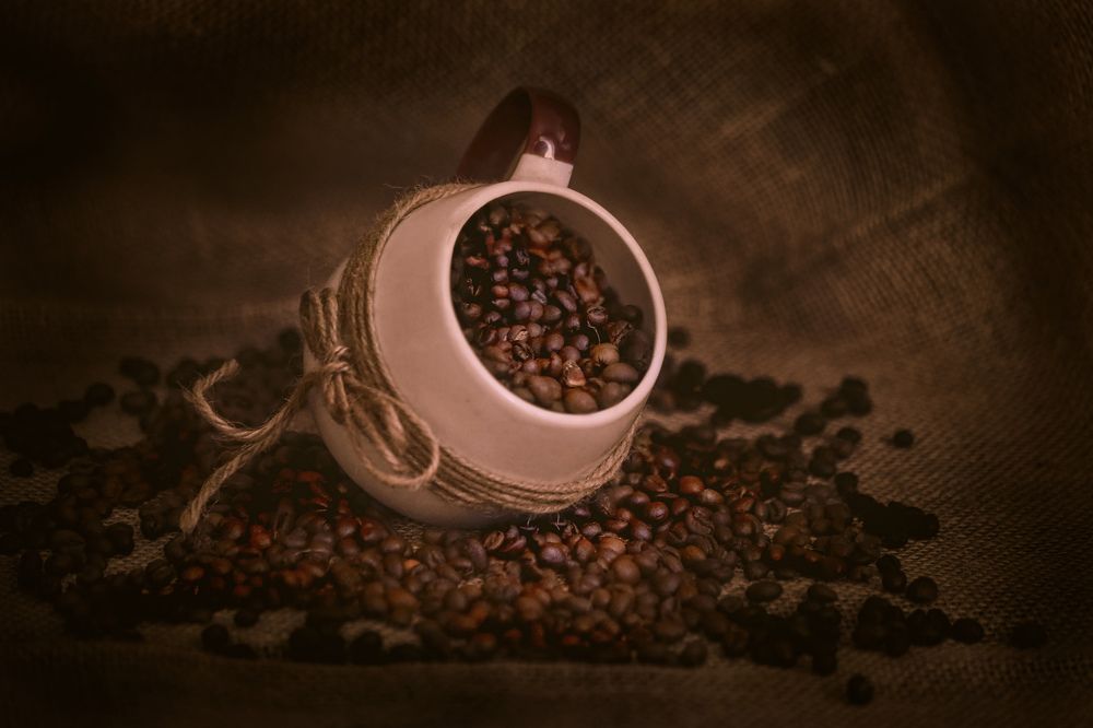 Photograph by Татьяна Бравая